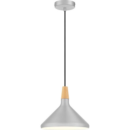 Quoizel Streeter Mini Pendant QPP5184AN